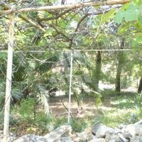 Земельный участок в пригороде в Черногории, Бар, Сутоморе