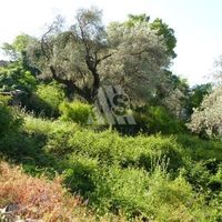 Land plot in the big city in Montenegro, Bar, Sutomore