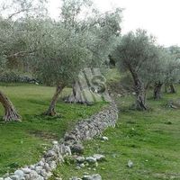 Земельный участок в пригороде в Черногории, Бар