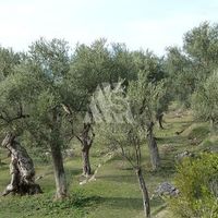 Земельный участок в пригороде в Черногории, Бар