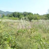 Дом в деревне, у озера в Черногории, Бар, Сутоморе, 200 кв.м.