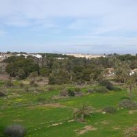 Квартира у моря в Испании, Валенсия, Торревьеха, 60 кв.м.