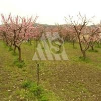 Land plot in the suburbs in Montenegro, Bar