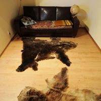 Дом в Латвии, Юрмала, Яундубулты, 320 кв.м.