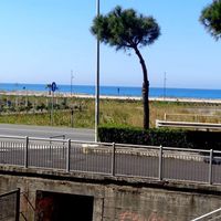 Flat at the seaside in Italy, Calabria, Santa Maria del Cedro, 70 sq.m.