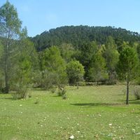 Elite real estate in the mountains, by the lake, in the suburbs, in the forest in Spain, Murcia, 200 sq.m.