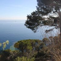 Земельный участок у моря в Испании, Каталония, Жирона