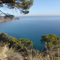 Земельный участок у моря в Испании, Каталония, Жирона