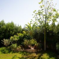 Вилла на Кипре, Лимасол, 440 кв.м.