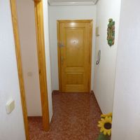 Апартаменты у моря в Испании, Валенсия, Торревьеха, 50 кв.м.