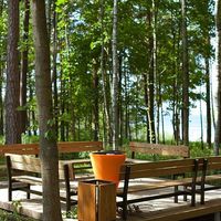 Flat in the forest, at the seaside in Latvia, Jurmala, Jaundubulti, 90 sq.m.