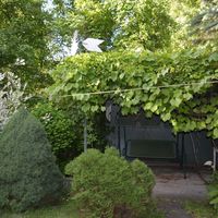House by the lake, in the suburbs, at the seaside in Latvia, Jurmala, Kemeri, 80 sq.m.