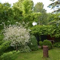 House by the lake, in the suburbs, at the seaside in Latvia, Jurmala, Kemeri, 80 sq.m.