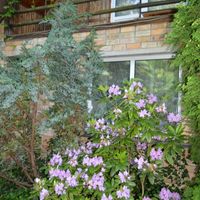 House by the lake, in the suburbs, at the seaside in Latvia, Jurmala, Kemeri, 80 sq.m.