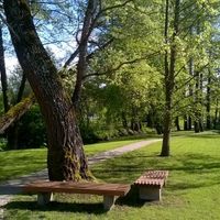 House in the forest in Latvia, Riga, 200 sq.m.
