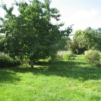 House in the big city in Latvia, Ventspils, Maurciems, 378 sq.m.