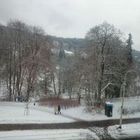 Квартира в Чехии, Карловарский край, Марианске-Лазне, 62 кв.м.