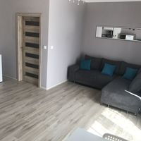 Flat Czechia, Karlovy Vary Region, Marianske Lazne, 33 sq.m.