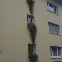 Rental house in the big city in Germany, Frankfurt am Main, 1738 sq.m.