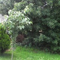 House in Bulgaria, Varna region, 170 sq.m.