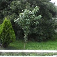 House in Bulgaria, Varna region, 170 sq.m.