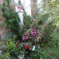 House in Bulgaria, Varna region, 328 sq.m.