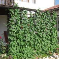 House in Bulgaria, 126 sq.m.