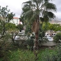 Апартаменты у моря в Турции, Аланья, 145 кв.м.