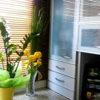 Квартира на Кипре, Лимасол, 240 кв.м.