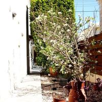 Вилла на Кипре, Лимасол, 220 кв.м.