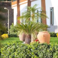 Апартаменты в Турции, Аланья, 125 кв.м.