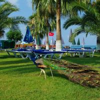 Апартаменты в Турции, Аланья, 150 кв.м.