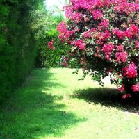 Вилла в большом городе, на спа-курорте, в пригороде, у моря на Кипре, Пафос, 140 кв.м.