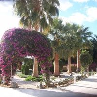 Villa in the big city, in the mountains, in the suburbs, at the seaside in Republic of Cyprus, Eparchia Pafou, 200 sq.m.