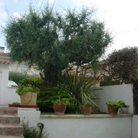 Villa in Spain, Catalunya, Ardiaca, 220 sq.m.