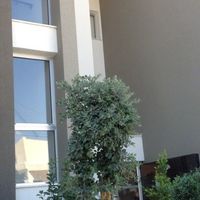 Квартира на Кипре, Лимасол, 82 кв.м.