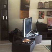 Квартира на Кипре, Лимасол, 129 кв.м.