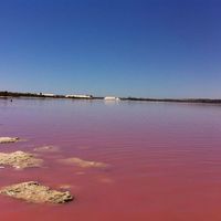 Вилла в Испании, Валенсия, Рохалес, 205 кв.м.