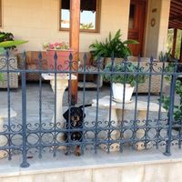 Вилла на Кипре, Лимасол, 240 кв.м.