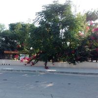 Вилла на Кипре, Лимасол, 240 кв.м.