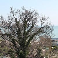 Квартира в Болгарии, Золотые Пески, 112 кв.м.