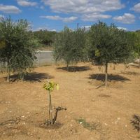 Villa in Republic of Cyprus, Lemesou, 120 sq.m.