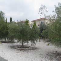 Вилла на Кипре, Пафос, 160 кв.м.