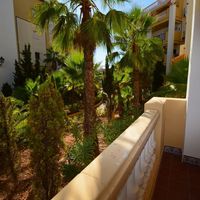 Апартаменты в большом городе, у моря в Испании, Валенсия, Торревьеха, 60 кв.м.