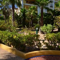 Апартаменты в большом городе, у моря в Испании, Валенсия, Торревьеха, 60 кв.м.