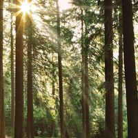 Apartment in Germany, Berlin, 95 sq.m.