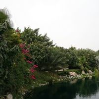 Apartment in United Arab Emirates, Dubai, 177 sq.m.