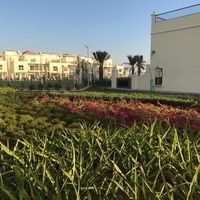 Вилла в ОАЭ, Рас-эль-Хайма, 201 кв.м.