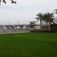 Апартаменты в ОАЭ, Дубаи, 613 кв.м.