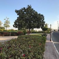 Villa at the seaside in United Arab Emirates, Ra's al Khaymah, 262 sq.m.